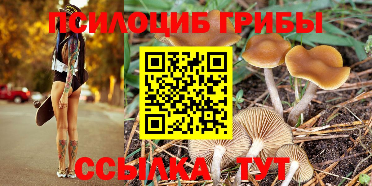 Псилоцибиновые грибы мицелий Скопин
